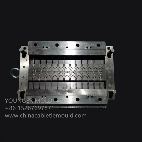 Screw plastic wall plug mold